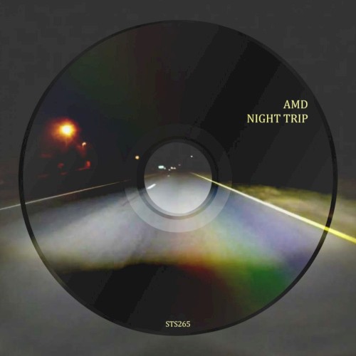 Night Trip
