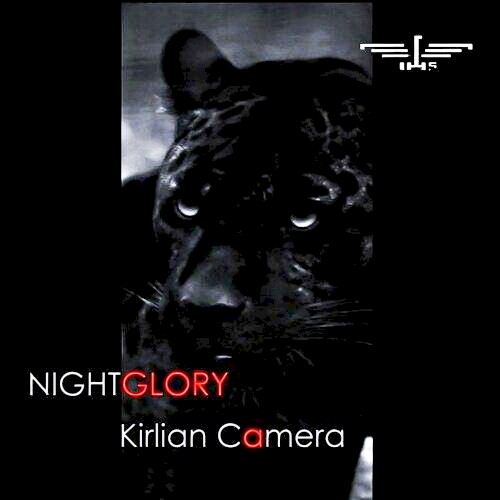 Nightglory