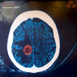Microwave Mind