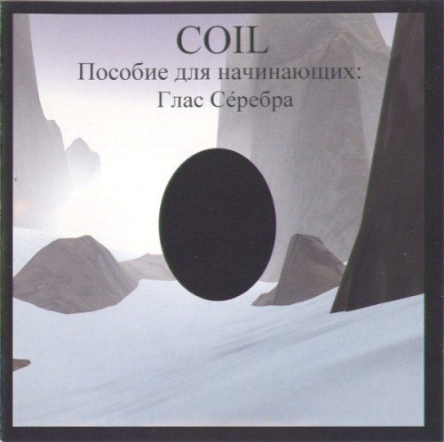 A Guide for Beginners: The Voice of Silver