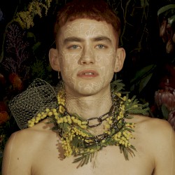 Palo Santo