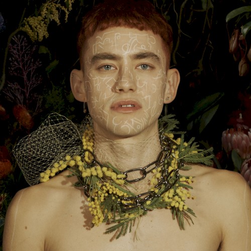Palo Santo