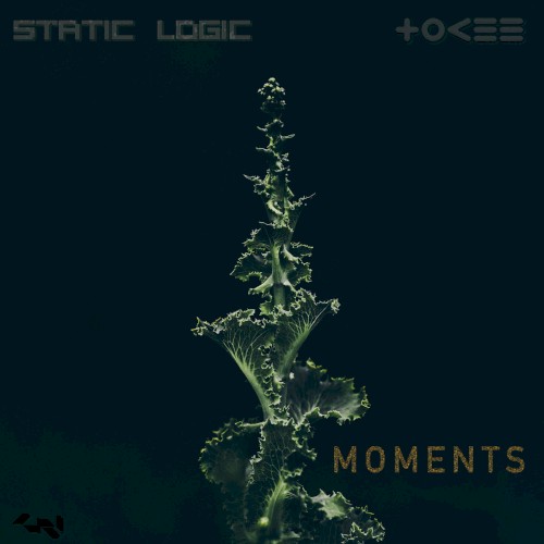 Moments