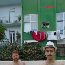 Speedo