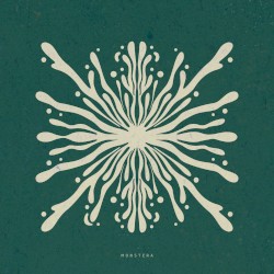 Monstera