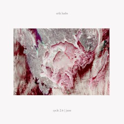 Cycle 2.6 | June