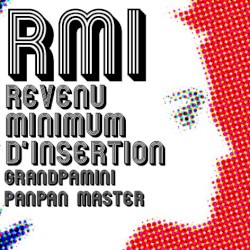 Rmi Revenu Minimum D'insertion