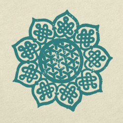 Lotus Flower
