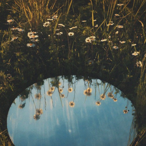 Reflections / Blossom