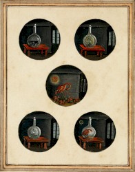 Vase de Spagyrie