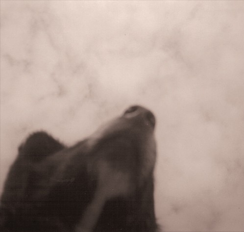 Drowse