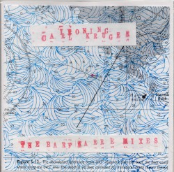 The Barfzarre Mixes