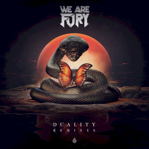 DUALITY (remixes)