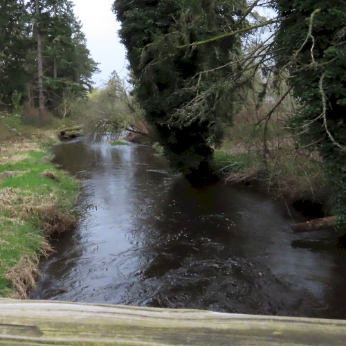North Creek Trail (03-27-2025)