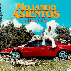 Mojando asientos