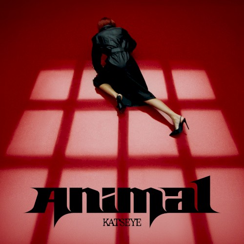 Animal (sped up)
