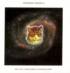 Тёмные небеса