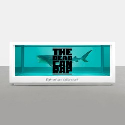 Eight million dollar shark
