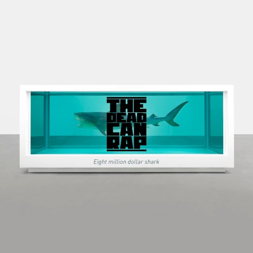 Eight million dollar shark