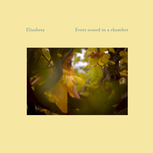 Every Sound In A Chamber