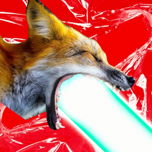 FOXES