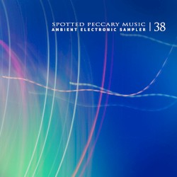 38 — Ambient Electronic Sampler