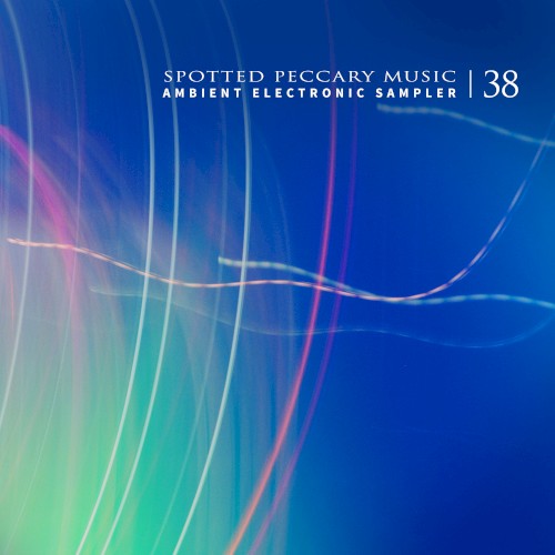38 — Ambient Electronic Sampler