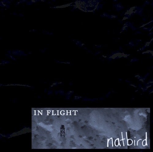 In Flight