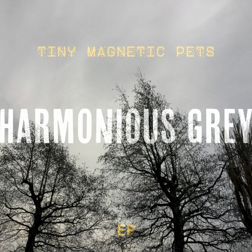 Harmonious Grey