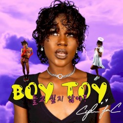 Boy Toy