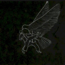 Oiseaux