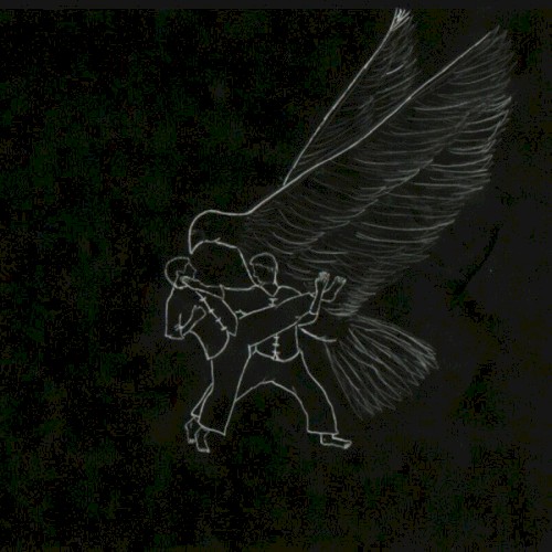 Oiseaux