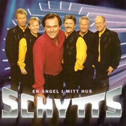 En ängel i mitt hus