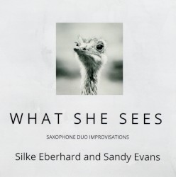 What She Sees