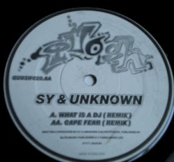 What Is a DJ / Cape Fear (Remixes)