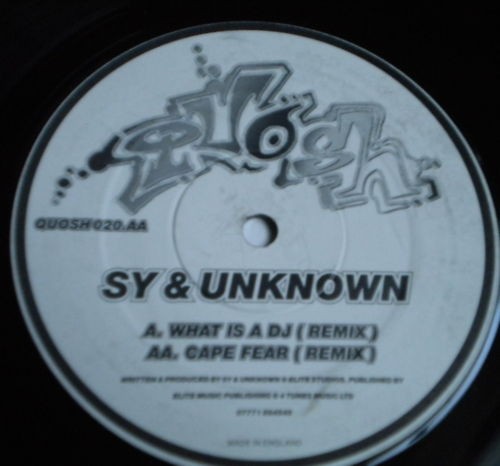 What Is a DJ / Cape Fear (Remixes)