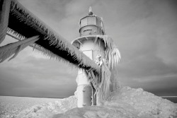 Polar Immersion
