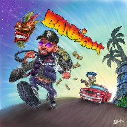 BANDICOOT
