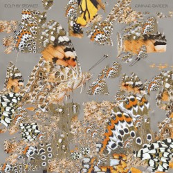 Liminal Garden