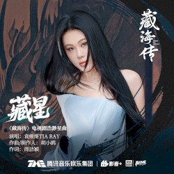 藏星 (《藏海传》电视剧浩渺星曲)