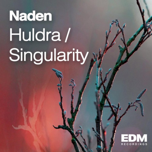 Huldra / Singularity