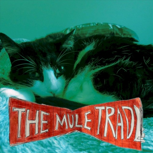 Thief