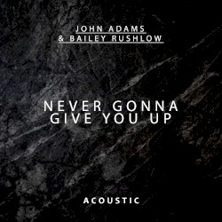 Never Gonna Give You Up (acoustic)