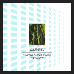 Sinking But Upwards Cassette