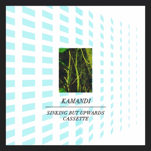 Sinking But Upwards Cassette