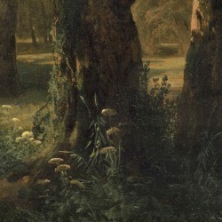 Woodland Gardens II