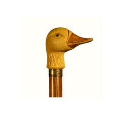 Introducktion