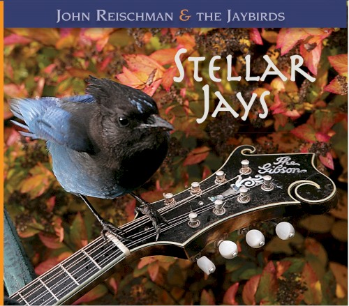 Stellar Jays