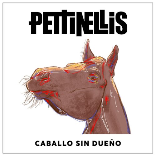 Caballo sin dueño
