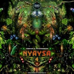 Nyaysa 4